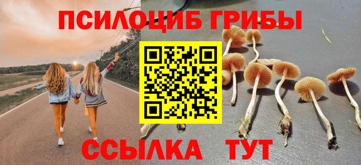 Псилоцибиновые грибы мухоморы  Вход с VPN  Новотроицк 