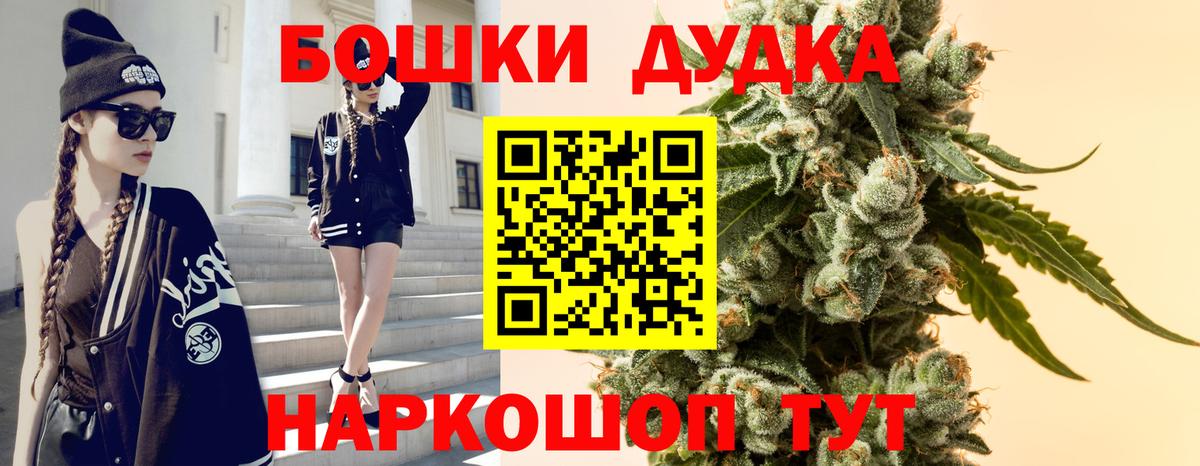 Марихуана план  Вход с VPN  Каннабис LSD WEED  Каннабис планчик  Новотроицк 